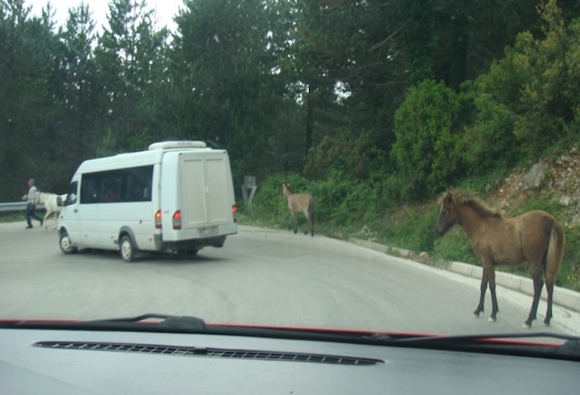 How should you act in this situation?