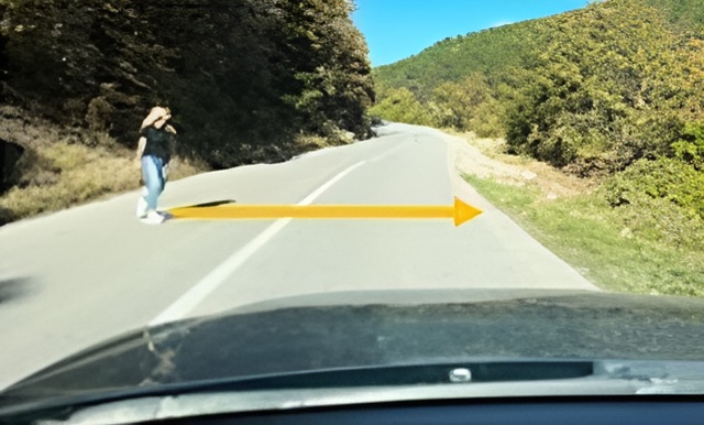 Koje ponašanje (radnja) je ispravno u ovoj situaciji?